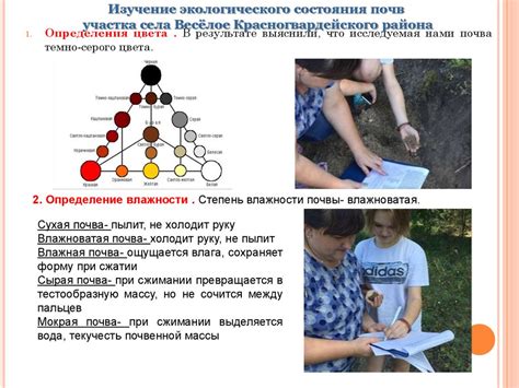 Оценка экологического состояния