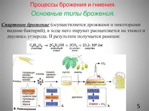 Ошибки в процессе брожения