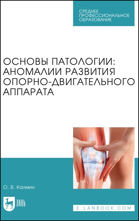 Патологии опорно-двигательного аппарата
