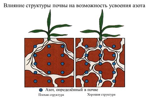 Переусыхание почвы