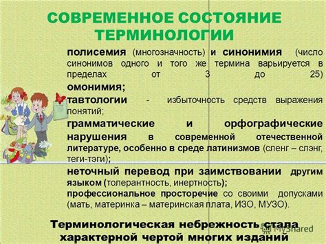 Перспективы изменения терминологии и современное использование выражения "мойка"