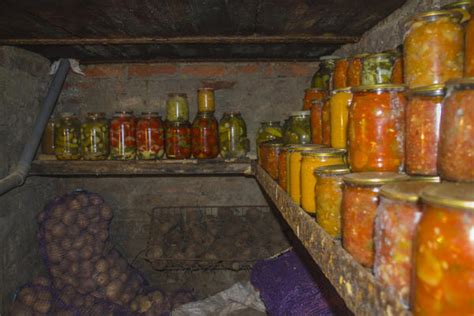 Плесень в консервационных банках: главная угроза и эффективное предотвращение