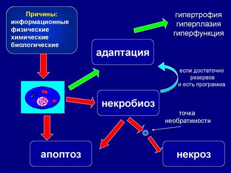 Повреждение клеток