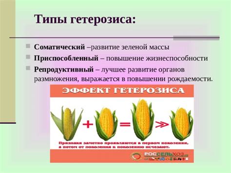 Повышение шансов размножения