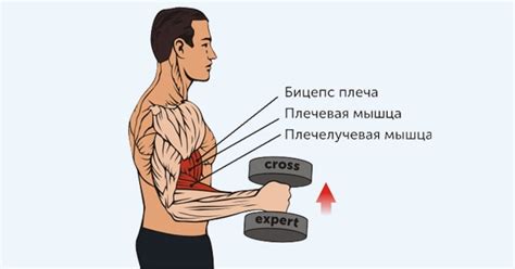 Повышенная нагрузка на мышцы рук