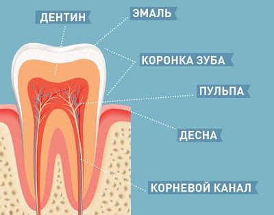 Повышенная чувствительность зубов