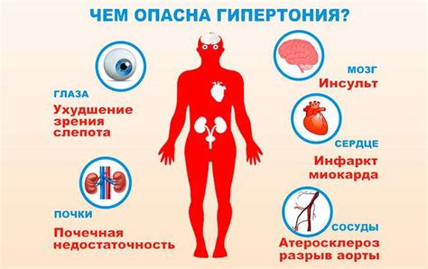 Повышенное давление в клетках поддерживает поток