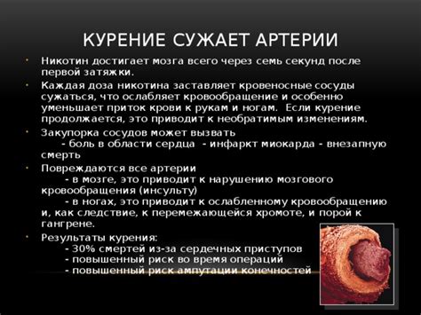 Повышенный приток крови к половому органу