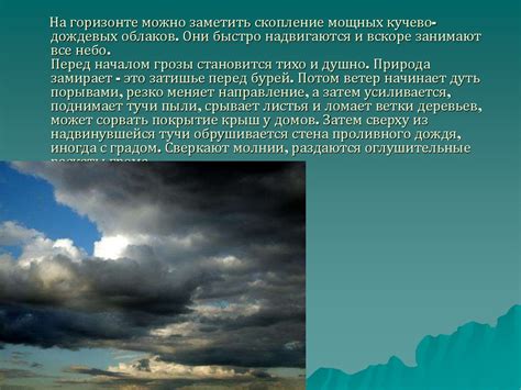 Погодные условия и эффект насыщения аромата