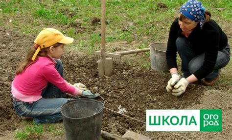 Подготовка к новому сезону