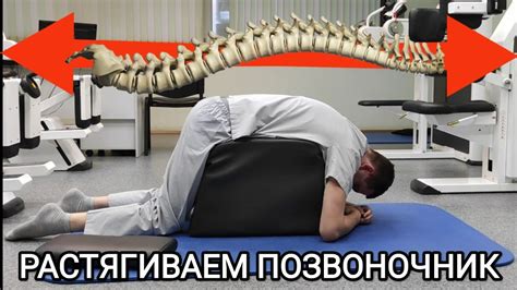 Позиция позвоночника