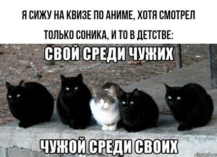Поиск подтверждения среди своих