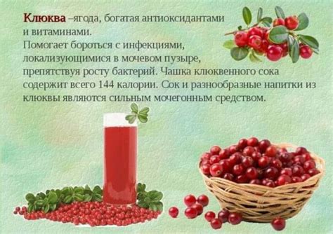 Полезные свойства клюквенного морса