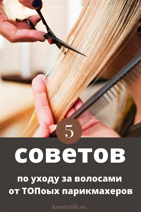 Полезные советы по уходу за иголками