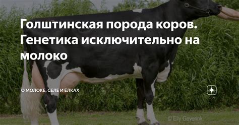 Порода и генетика