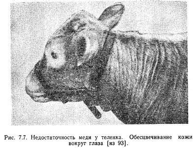 Последствия недостатка или избытка меди