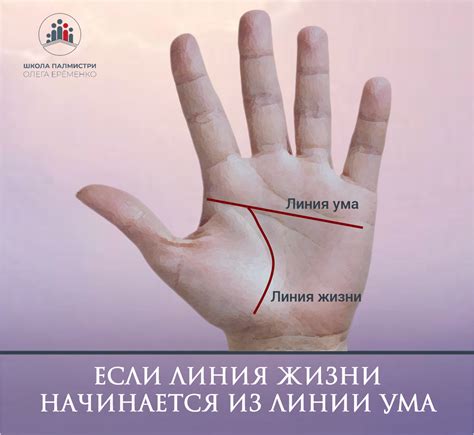 Потенциал и ограничения линий ума и жизни