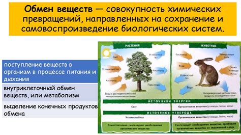 Потеря энергии и питания