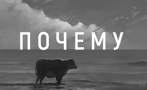Почему автор не всегда указывается на обложке - важные причины и активное обсуждение