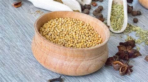 Почему горчица становится горькой и не острая