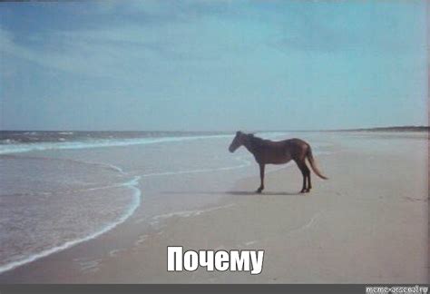 Почему конвертация в корабль невозможна