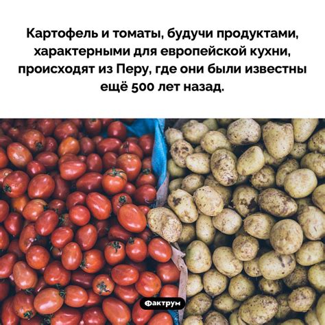Почему томаты и картофель семейство пасленовых