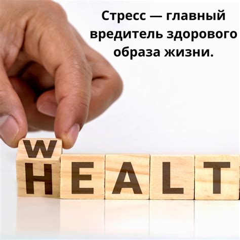 Правильный выбор зёрен