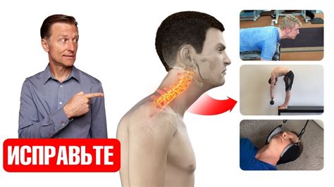 Предупреждение искривления шеи у уток