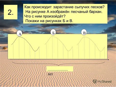 Преимущества ветрораспространения для кандыма