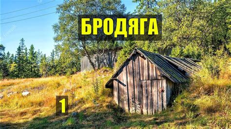 Преимущества жизни в норе