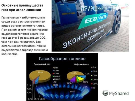 Преимущества использования газа при опалке поросенка