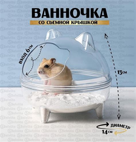 Привлечение внимания и удовольствие для грызунов
