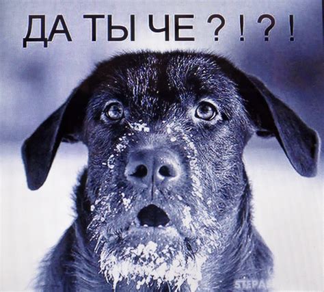 Приметы и поверья о девочках
