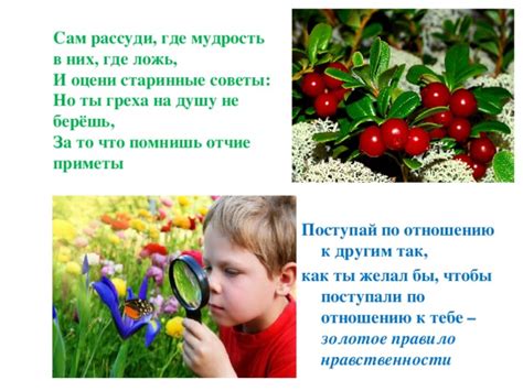 Приметы по другим культурам