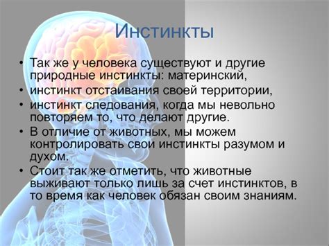 Природные инстинкты и территориальность