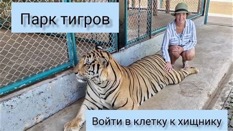 Приспособление к хищникам