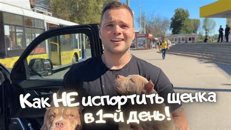 Причины, по которым Катерина не получила помощь от Тихона и Бориса