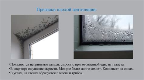 Причины образования конденсата на окнах автомобиля ВАЗ 2115