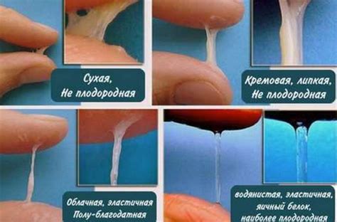 Причины отечности половых губ при овуляции