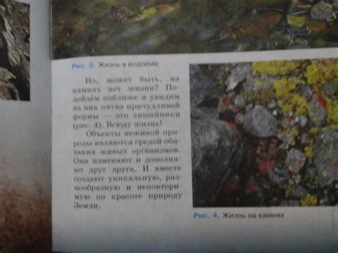 Причины отсутствия живой природы