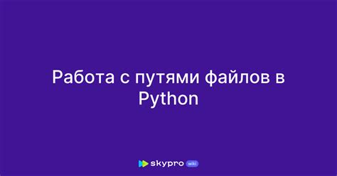 Проблемы с путями к Python и его модулям