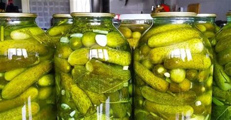Прогревание огурцов перед консервацией