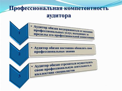 Профессиональная экспертиза аудитора
