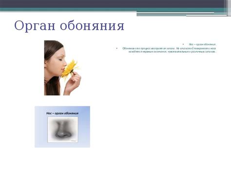 Процесс образования запаха