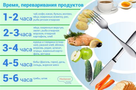 Процесс переваривания пищи рыбами