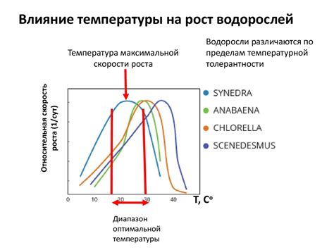 Раздел 2. Влияние температуры на распространение аромата