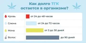 Раздел 5: Домашние методы выведения кальяна из организма