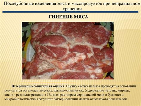 Различные виды соединений гема в мясе