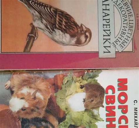 Разногласия по содержанию книги Сираха