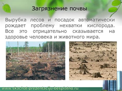 Разрушение почвы: последствия для окружающей среды